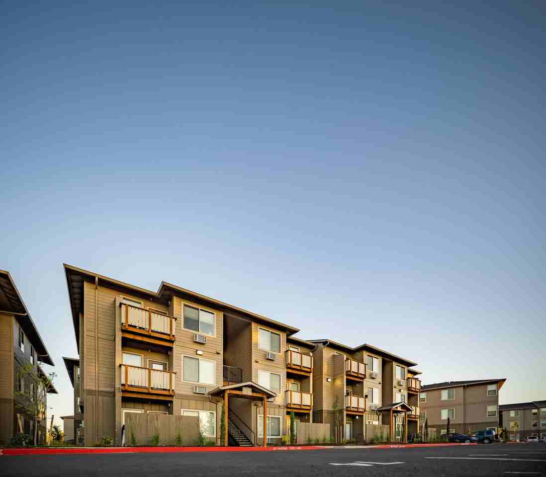 Willow Tree Place - Photo 6 of 36