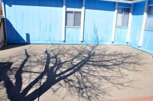 6785 Lotus St - Photo 1 of 1