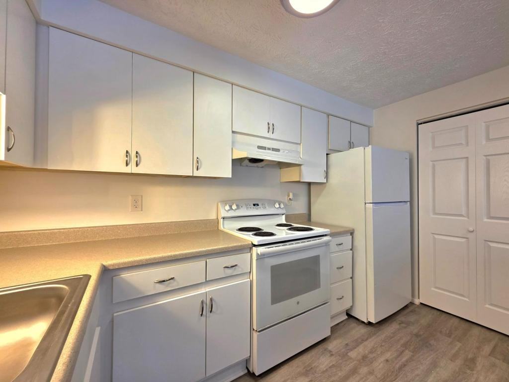 8380 Brockham Dr - Photo 5 of 15