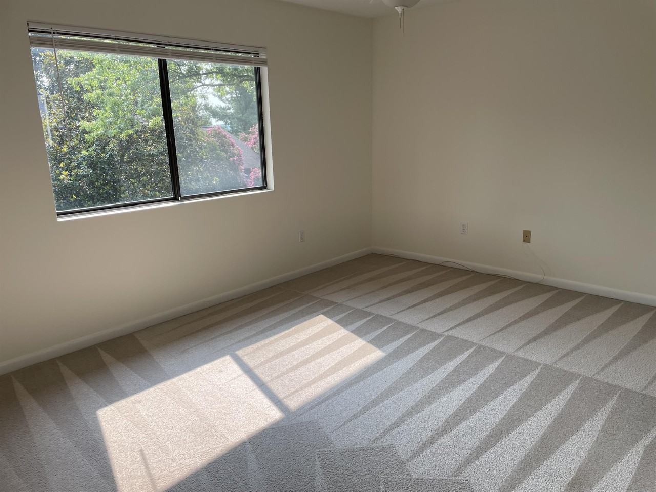 146 Harvest Dr - Photo 3 of 23