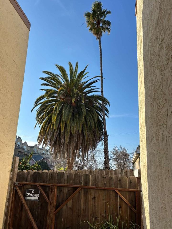 1825 Harrison St #1 - Photo 3 of 19