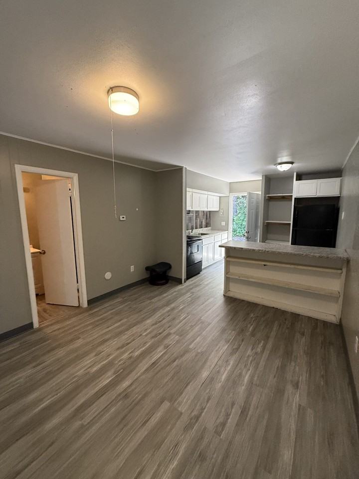 401 Smith St Apt A4 - Photo 5 of 12