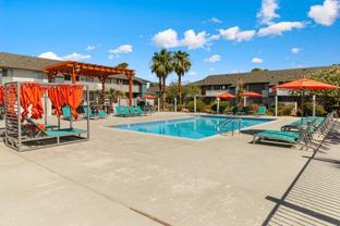 Accent on Rainbow - Photo 1 of 1