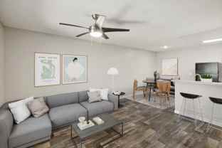 San Mateo - Photo 1 of 1