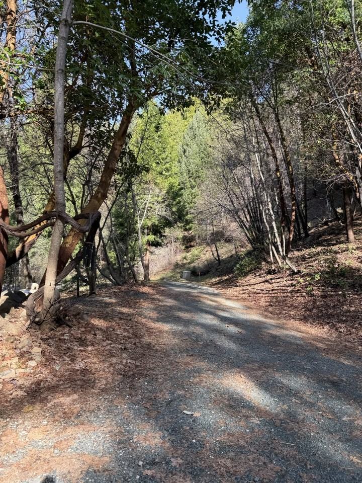 13345 Pasquale Rd #NA - Photo 6 of 21