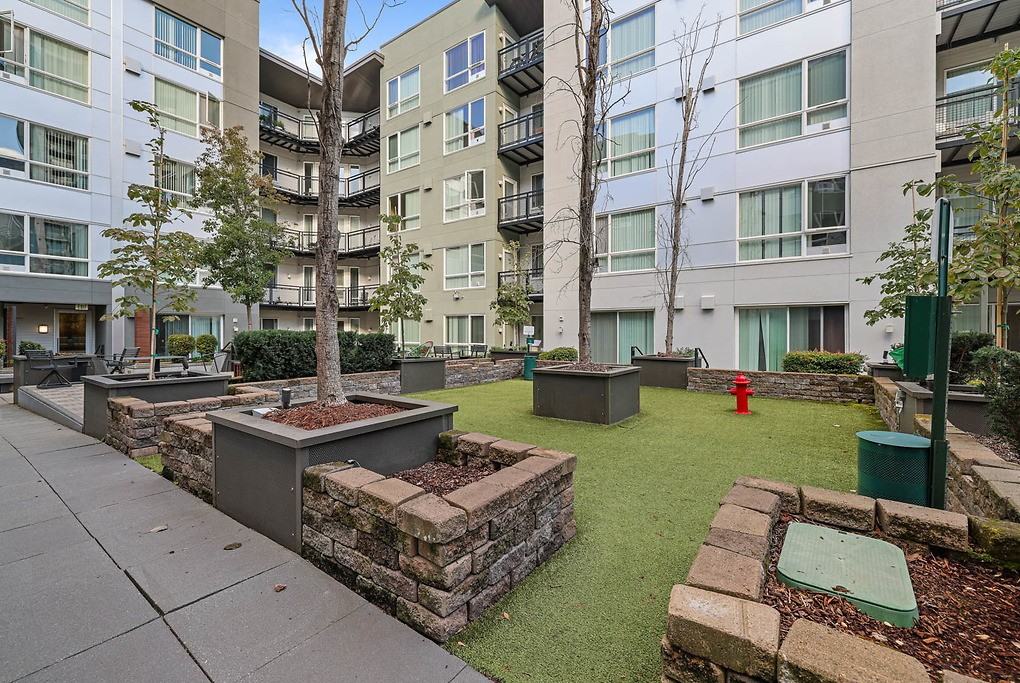 Belcarra - Photo 5 of 50