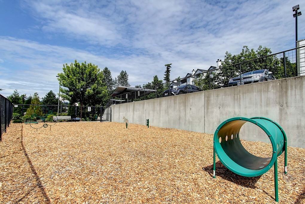 Castle Creek - Photo 6 of 51