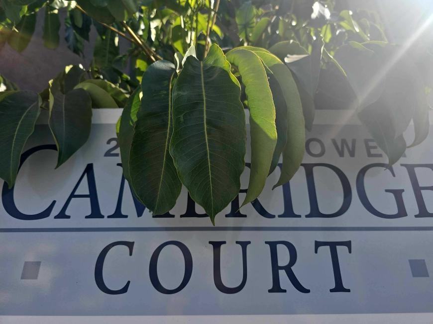 20964 Vanowen St - Photo 2 of 10