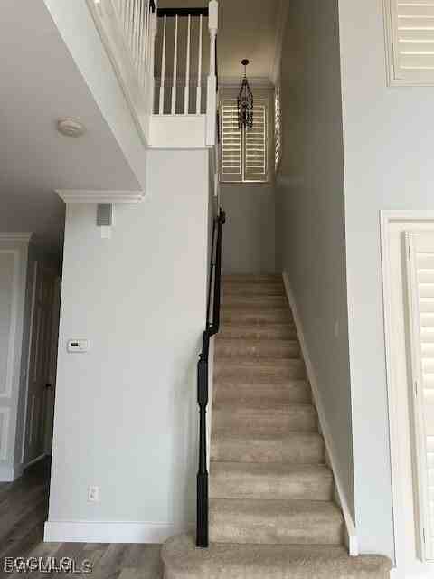 10313 Longleaf Pine Ct - Photo 7 of 28