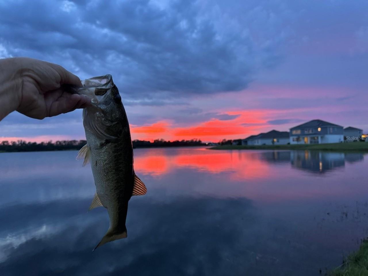 3049 Ella Way - Photo 3 of 17