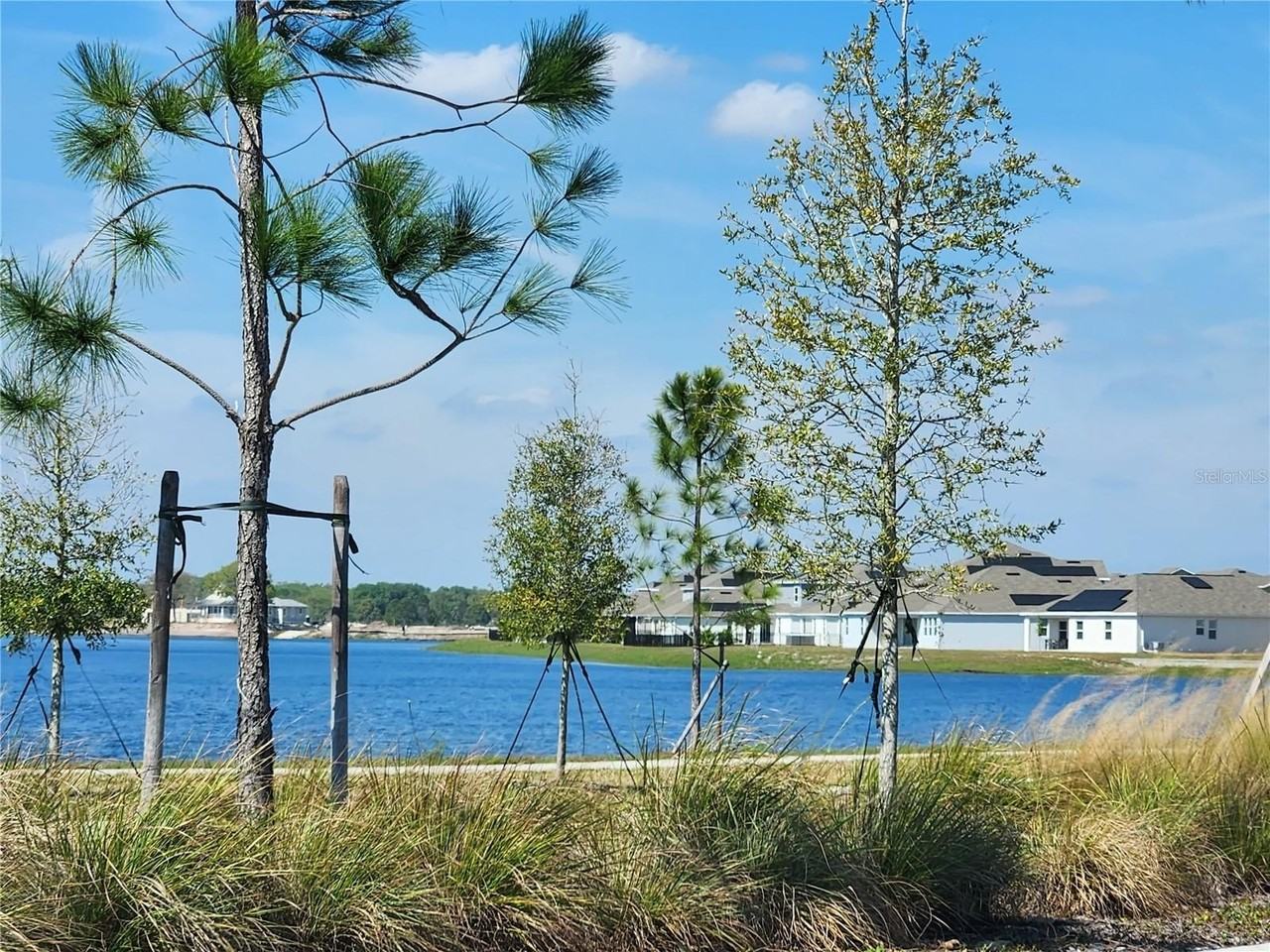 3049 Ella Way - Photo 5 of 17