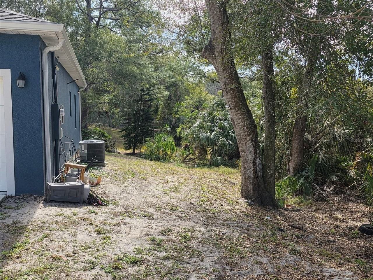 1013 Doyle Rd - Photo 6 of 29