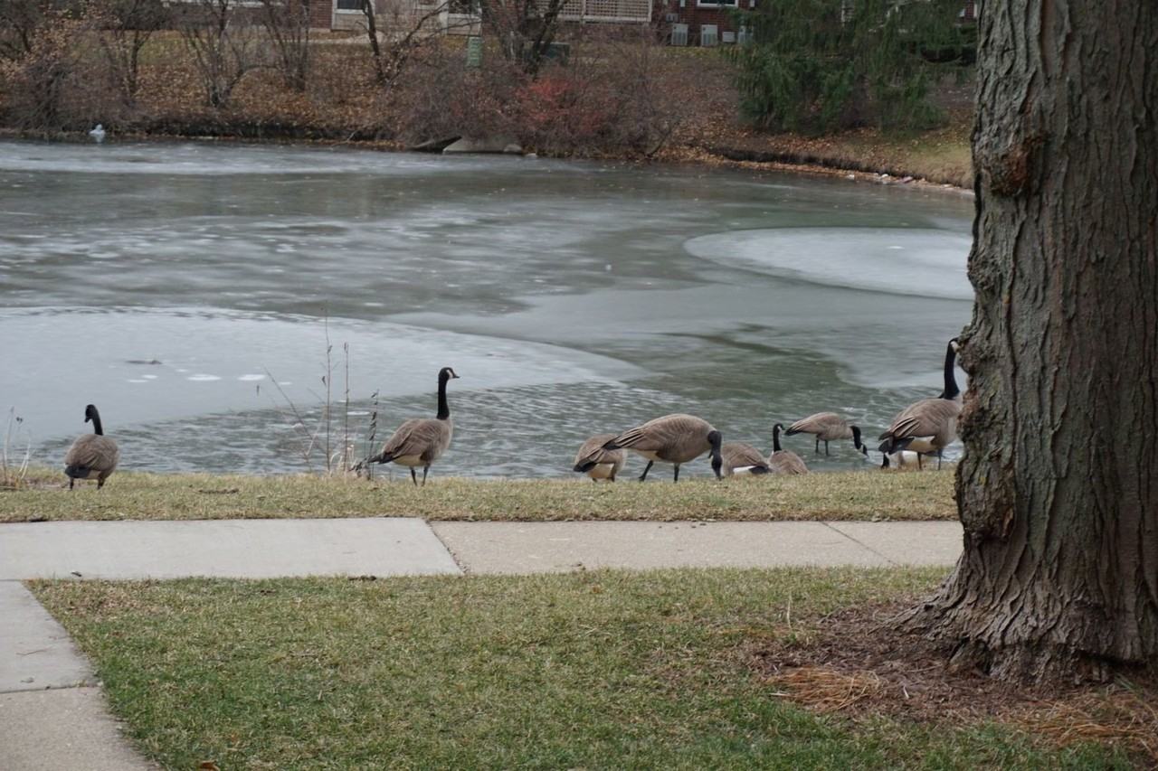 913 Casey Ct Apt 1 #1 - Photo 2 of 15