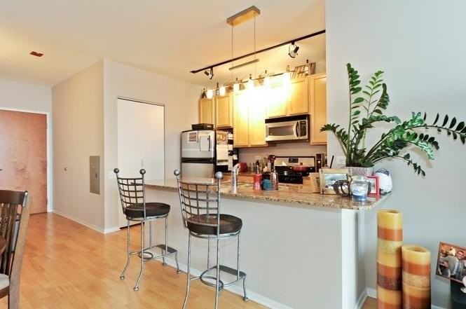 210 S Desplaines St Apt 2104 #2104 - Photo 5 of 9