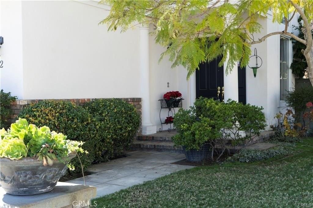 2 Sugar Gum - Photo 2 of 21