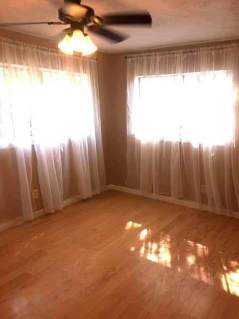 4410 Bonham St - Photo 2 of 13