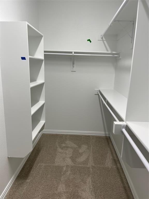 1809 Briar Rose Dr - Photo 7 of 15