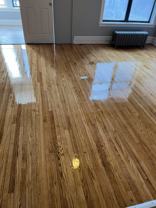 410 E 48th Place-1F - Photo 1 of 1