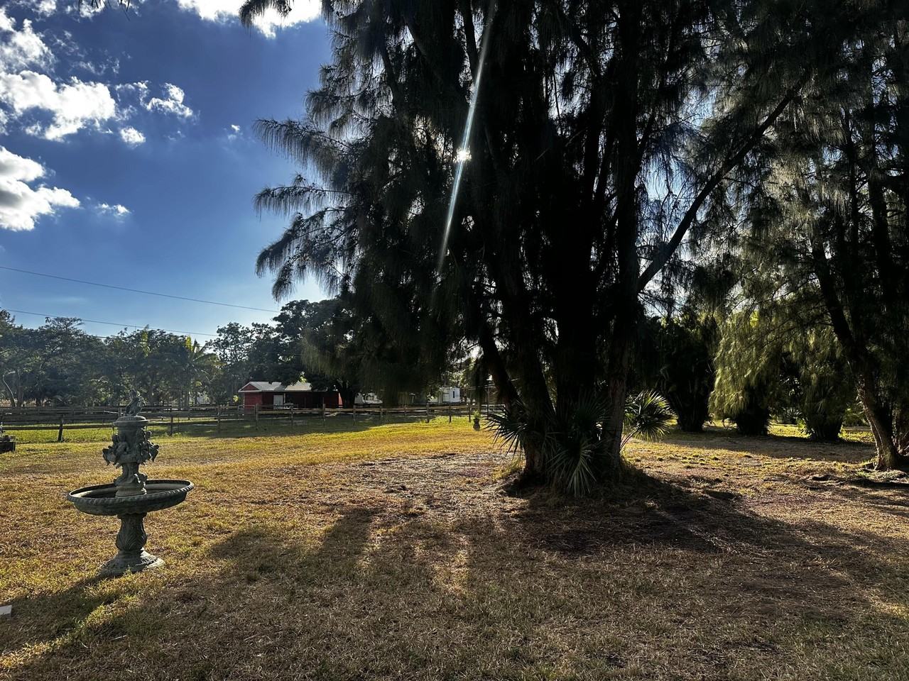 4332 145th Ave N - Photo 6 of 50