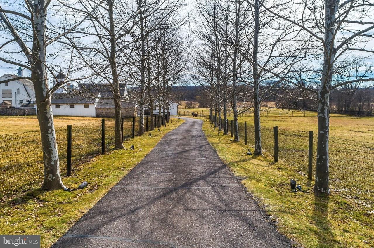 5453 York Rd - Photo 4 of 34