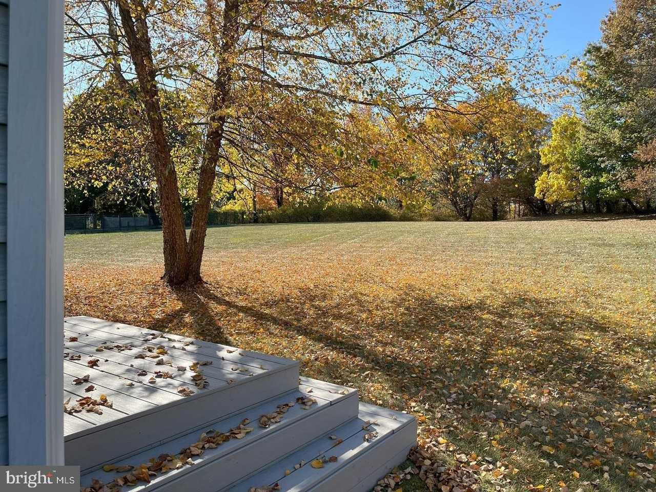 56 W Windrose Dr - Photo 5 of 50