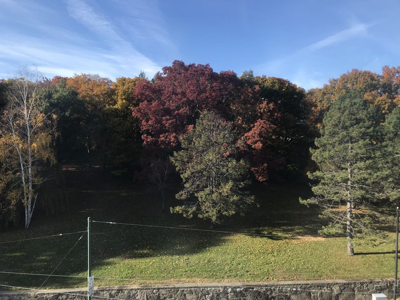 1883 Commonwealth Ave #16 - Photo 2 of 8