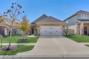 featured image of 9622 Blue Water Hyssop