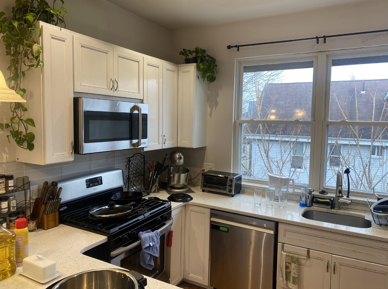 44 Mozart St #3 - Photo 3 of 15