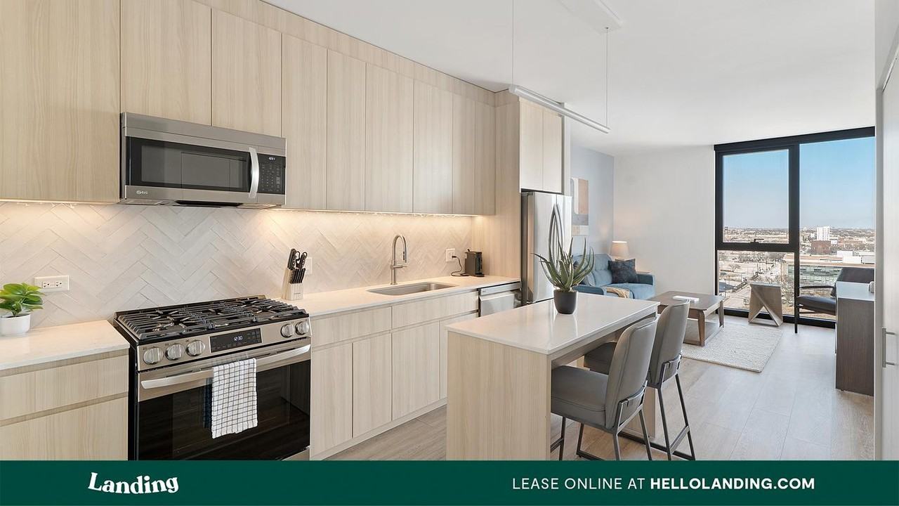 513 S Damen Ave - Photo 2 of 50