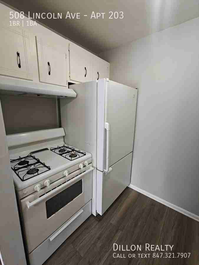 508 N Lincoln Ave #203 - Photo 3 of 13