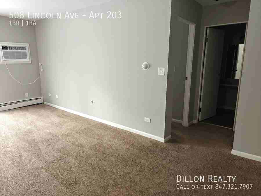508 N Lincoln Ave #203 - Photo 7 of 13