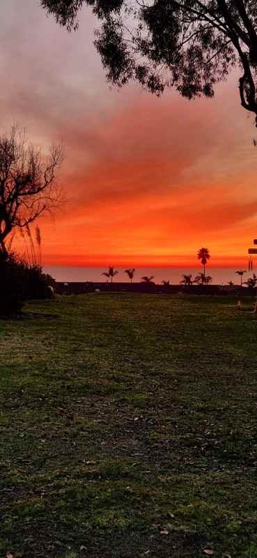 124 Calle Cuervo - Photo 3 of 4