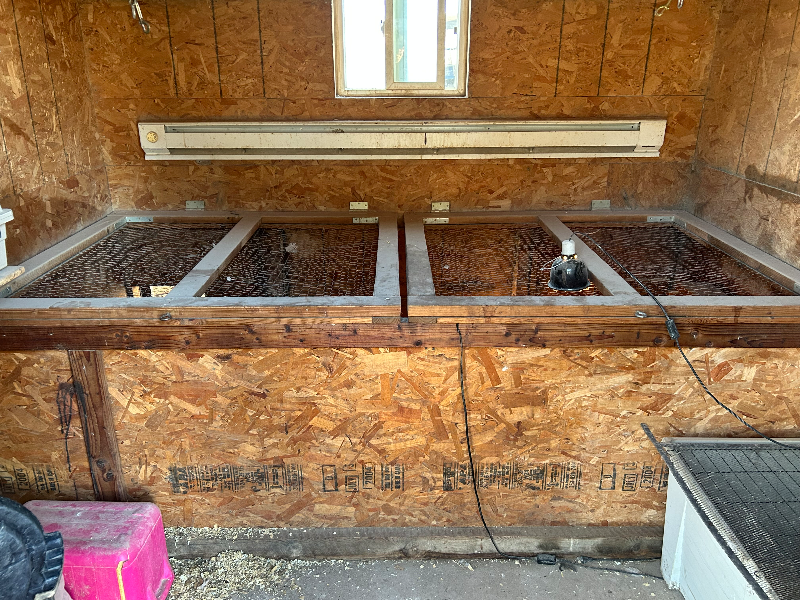 1388 Newton Rd - Photo 4 of 23