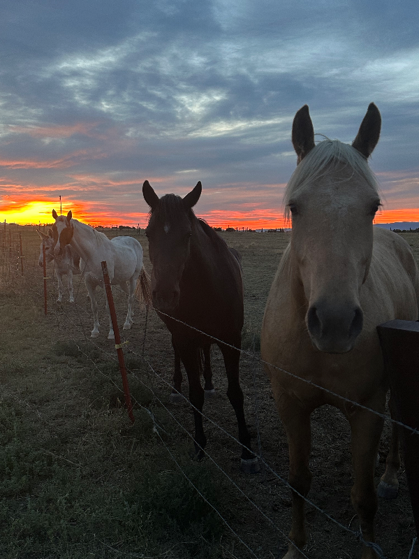 1388 Newton Rd - Photo 7 of 23
