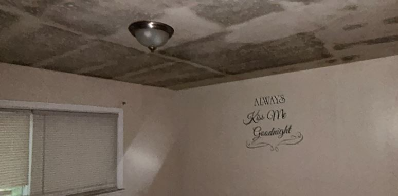 1920 Prior Dr - Photo 3 of 7