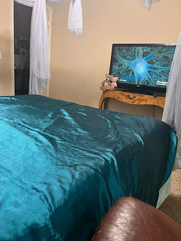 1312 Stetson Trl - Photo 2 of 10