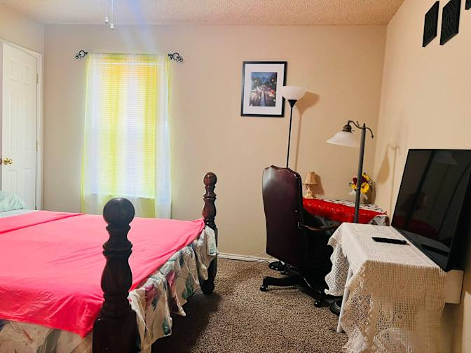 1312 Stetson Trl - Photo 7 of 10