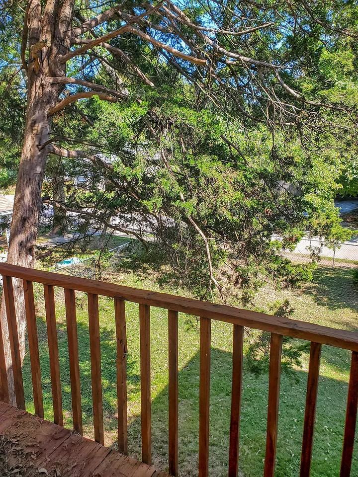 1605 N Missouri Ave #NA - Photo 7 of 24