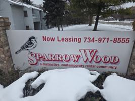 featured image of 3805 Sparrow Wood Dr