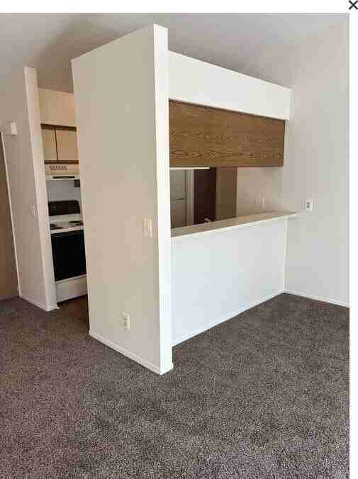 3805 Sparrow Wood Dr - Photo 6 of 11