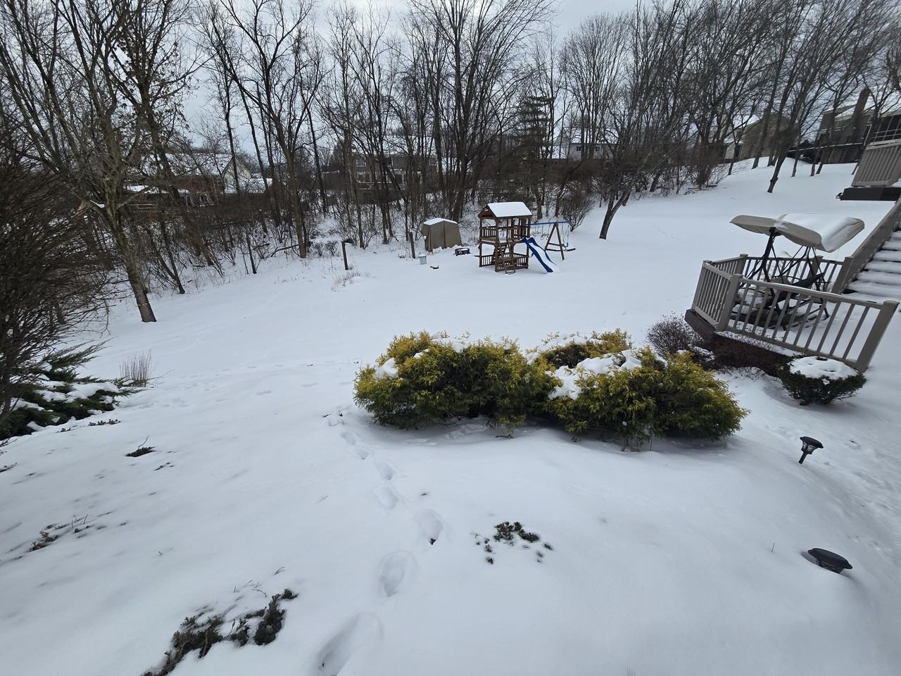 1021 Whirlaway Dr - Photo 4 of 41