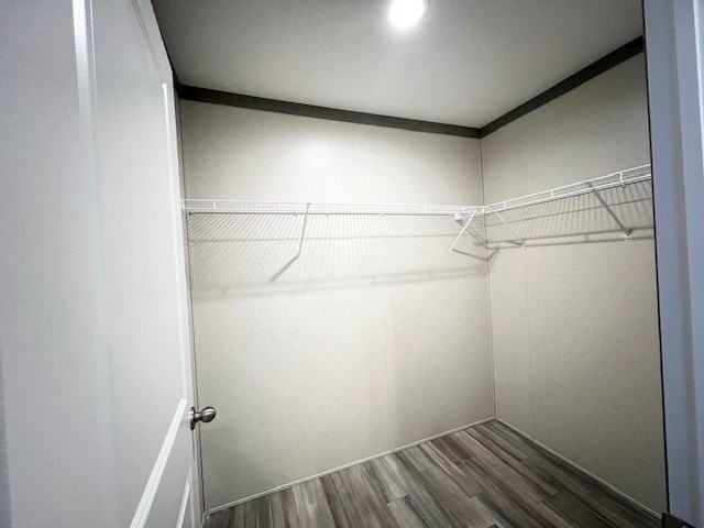 25442 Nuway Ave #143 - Photo 5 of 10