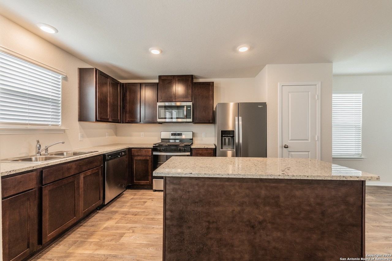 1006 Western Whipbird - Photo 5 of 24