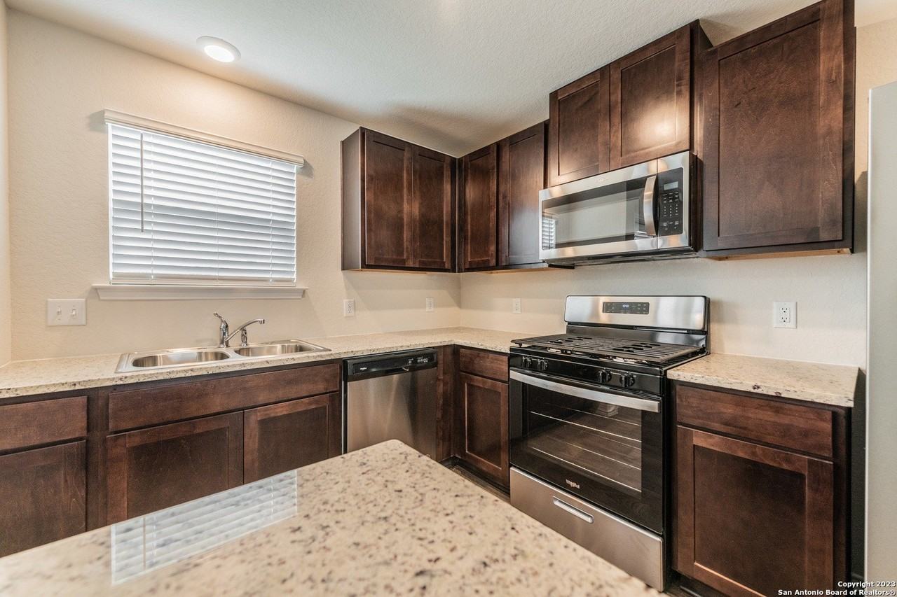 1006 Western Whipbird - Photo 6 of 24