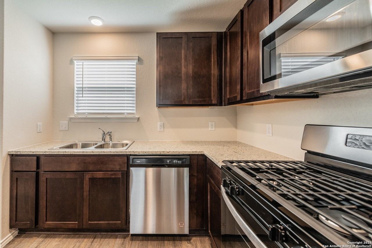 1006 Western Whipbird - Photo 7 of 24