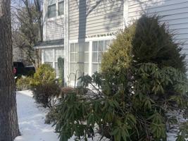 featured image of 46 Driftwood Ct