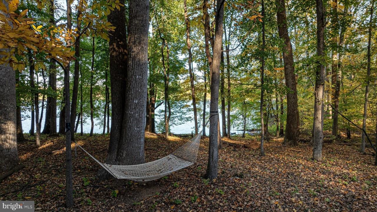 4386 Lakewood Dr - Photo 3 of 50