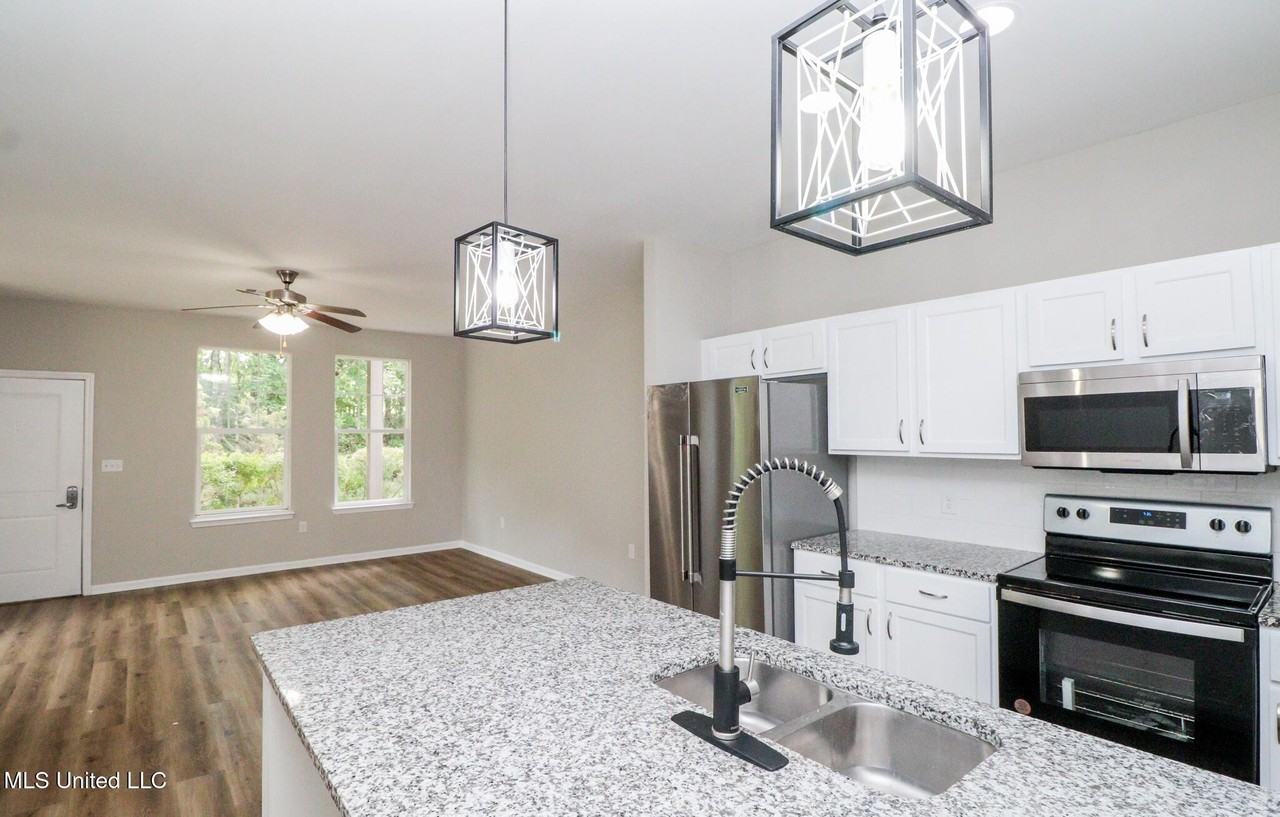 473 Olive Branch Way - Photo 3 of 21