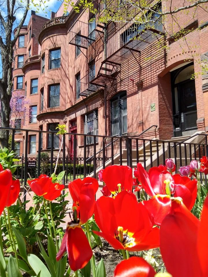 399 Marlborough St #5 - Photo 6 of 7