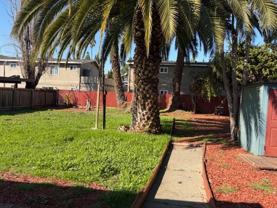 Palm Tree Garden Apts - Photo 1 of 1